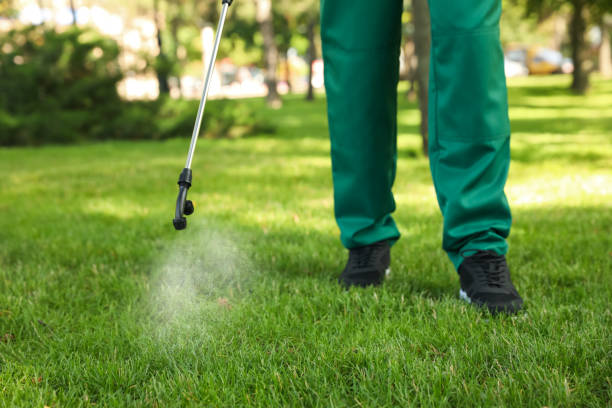 Wasp Removal Services in Spurgeon, TN