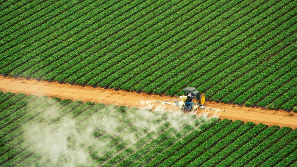 Best Commercial Pest Control Services  in Spurgeon, TN